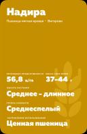 Надира пшеница яровая