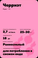 Черриэт F1 (CHERRIETTE)