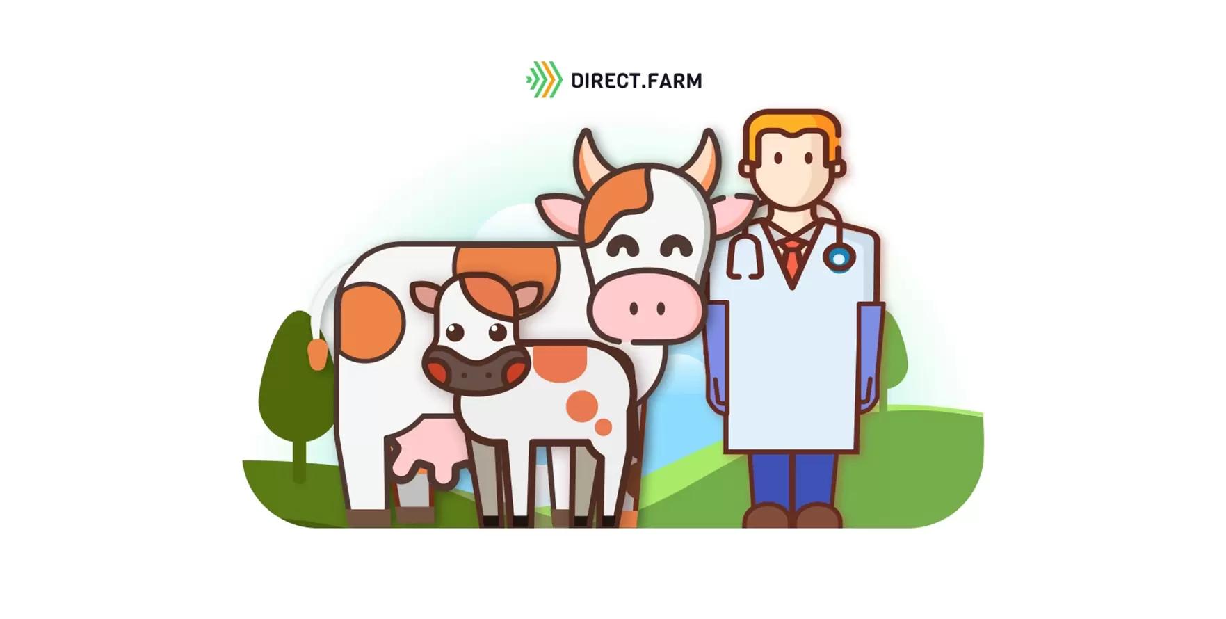 Протокол осмотра новотельных коров