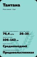 Тантана рожь озимая