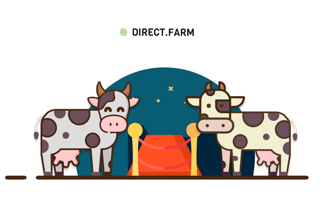 Полы в коровниках