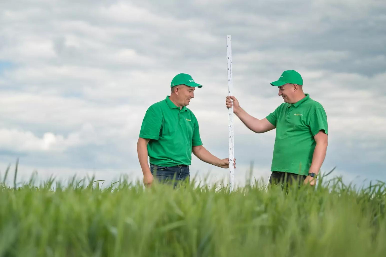 «Сохранение четверти урожая — заслуга Digital Agro»