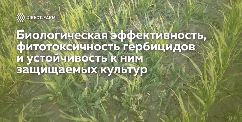 Гербициды: биологическая эффективность, фитотоксичность и устойчивость