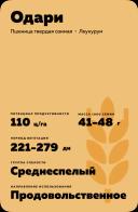 Одари пшеница твердая озимая