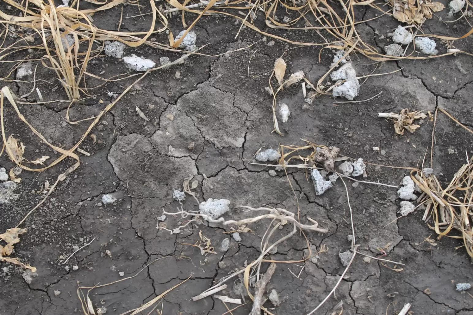 Устойчивость почв в функциональных системах « Почва – память»/ «Почва - момент»