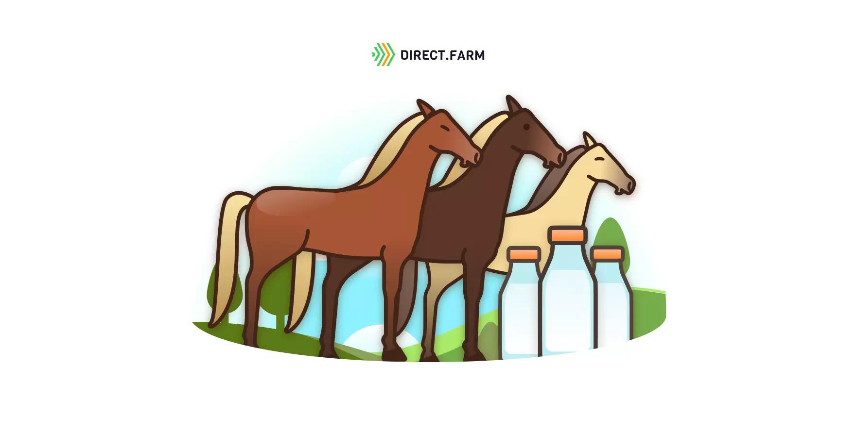 Молочное коневодство: особенности лактации кобыл и выбор породы