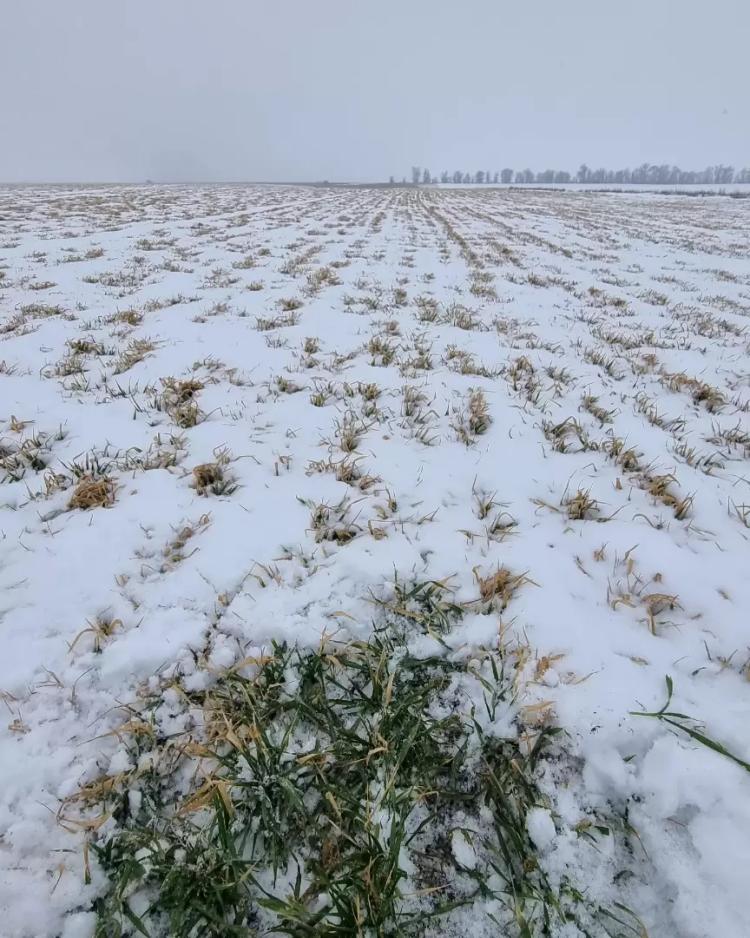Гром