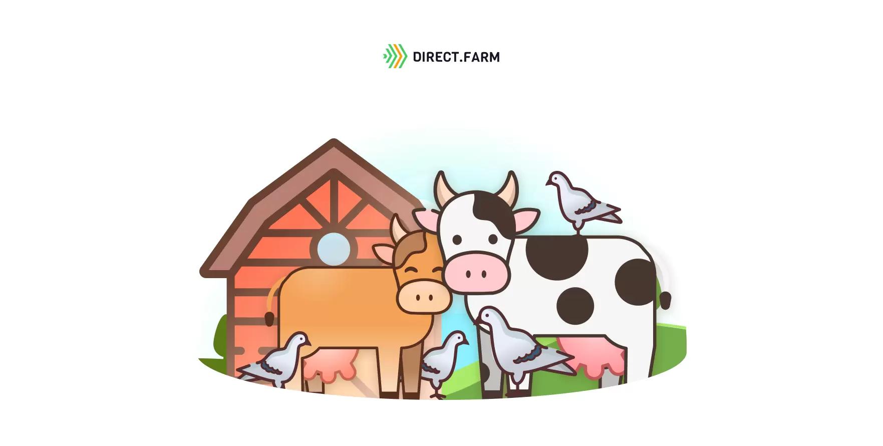 Борьба с голубями на ферме