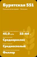 Бурятская 551