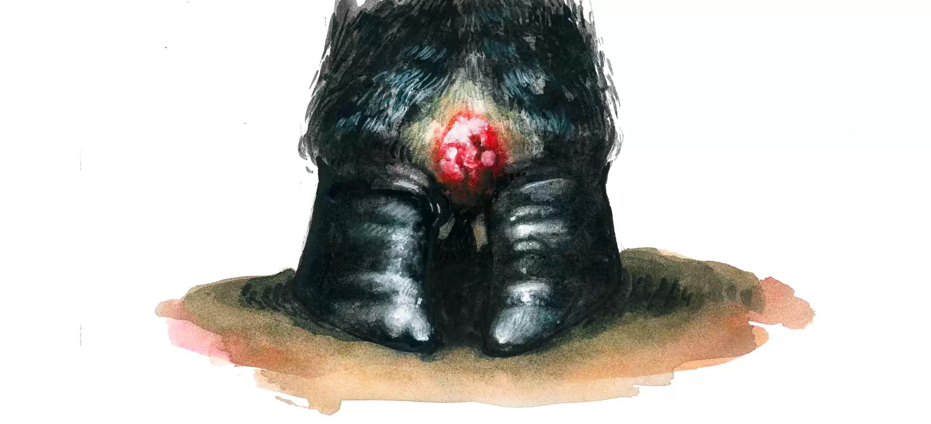 Инфекционный пододерматит КРС