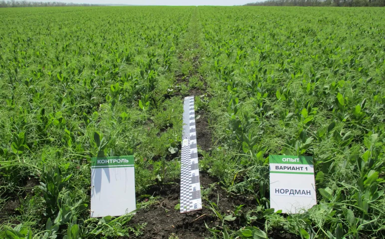 ДЕМООПЫТЫ – ЭТО ВАЖНО И НУЖНО!