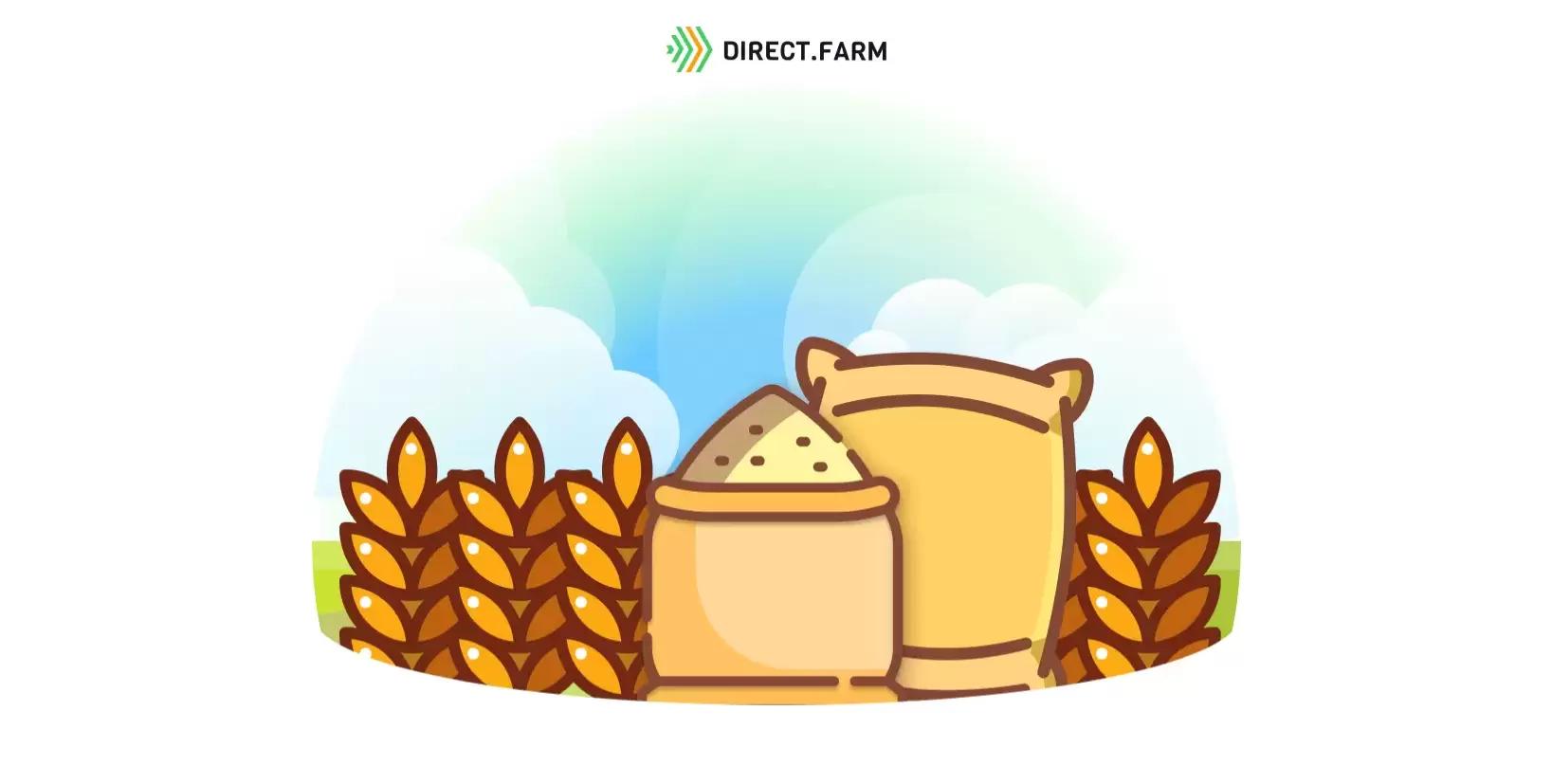 Сорта яровой пшеницы Омского АНЦ