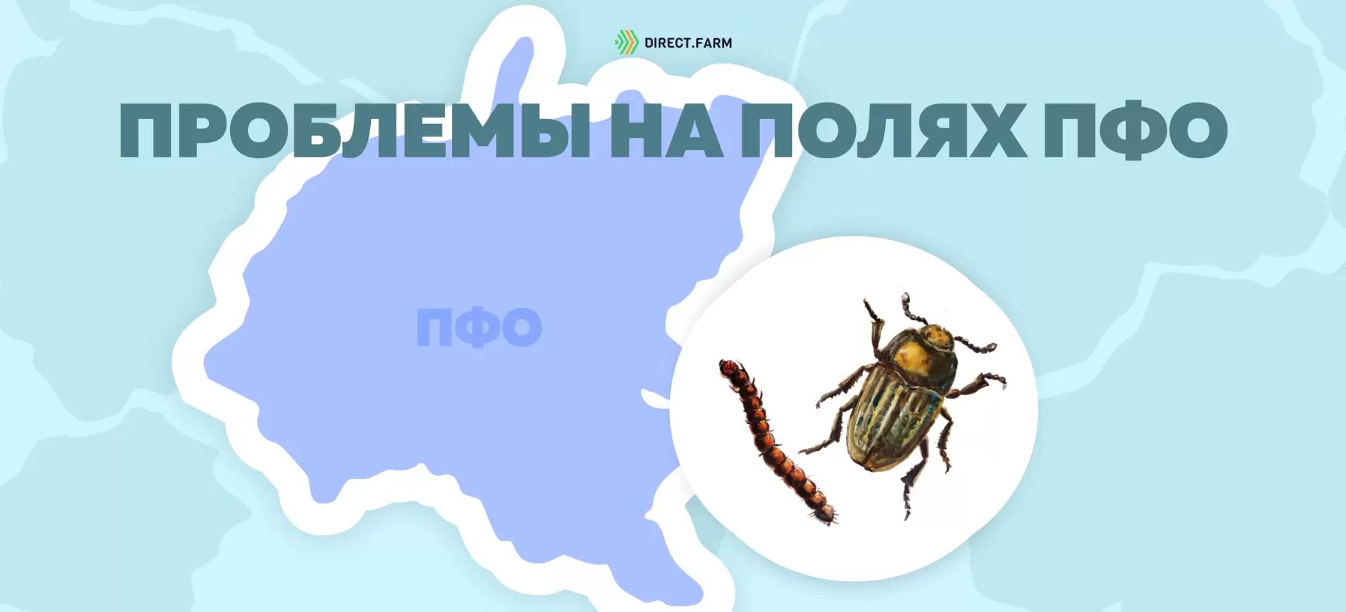 Угроза: Песчаный медляк