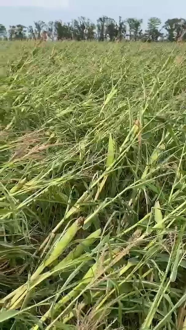 Вопросы из чатов: как провести обработку?