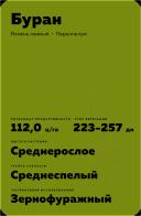 Буран сорт озимого ячменя