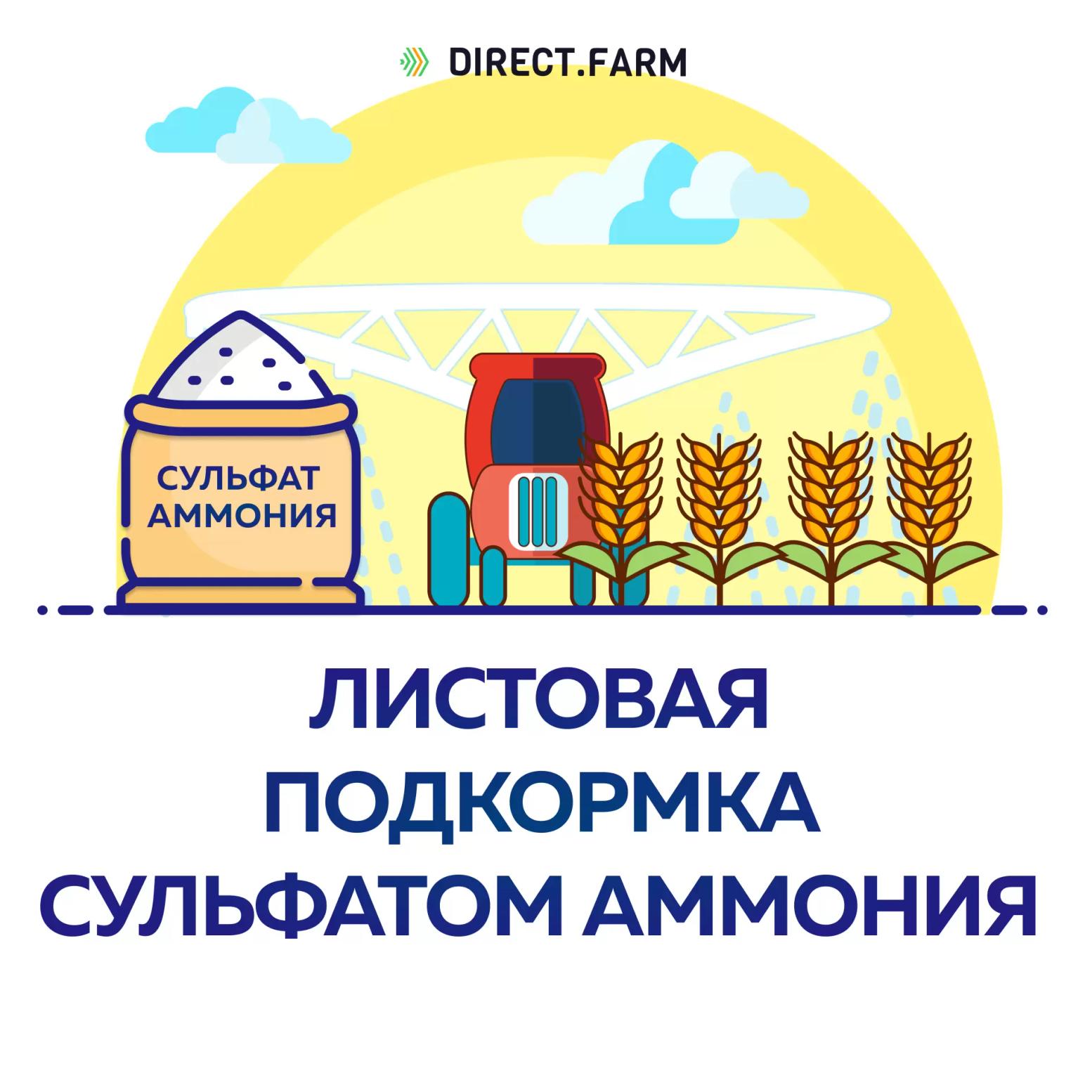 Можно ли проводить листовые подкормки зерновых сульфатом аммония?