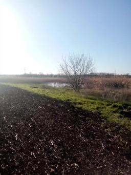 Земельный участок 6,6 га