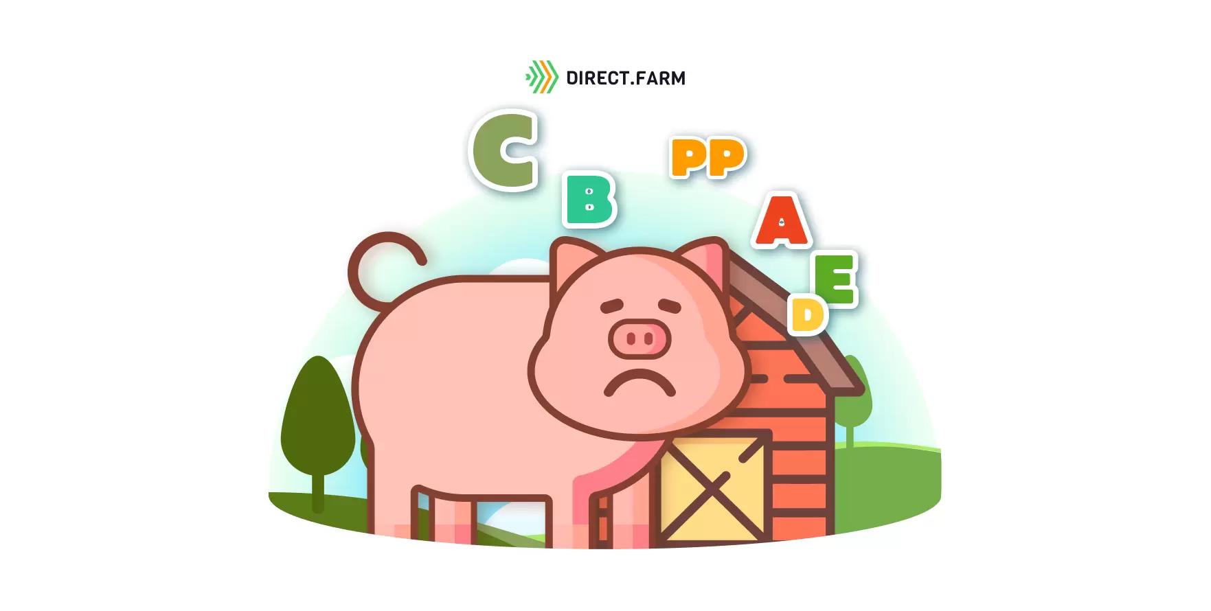 Профилактика и лечение авитаминоза у свиней