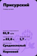 Присурский