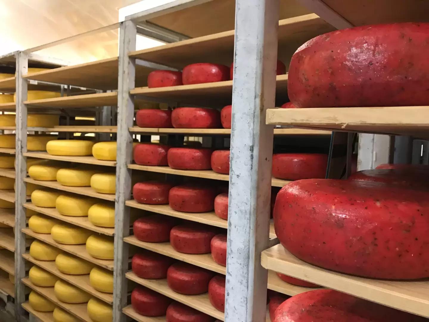 Сыроварня при ферме