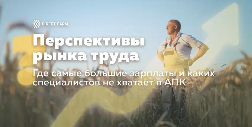 Перспективы рынка труда: Где самые большие зарплаты и каких кадров не хватает