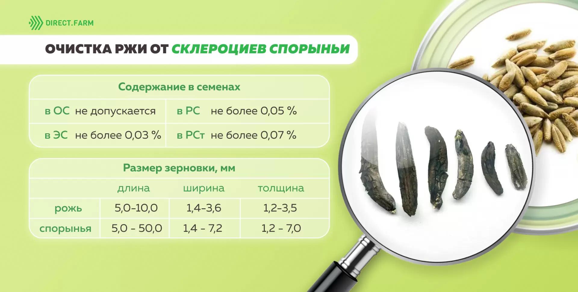 Очистка ржи от спорыньи