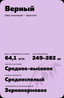 Верный овес зимующий