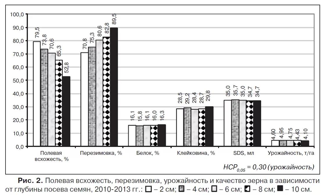 Влияние глубины посева семян озимой пшеницы на урожайность