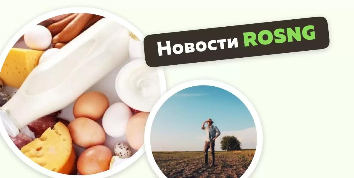 Обзор новостей за 4 октября