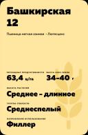 Башкирская 12