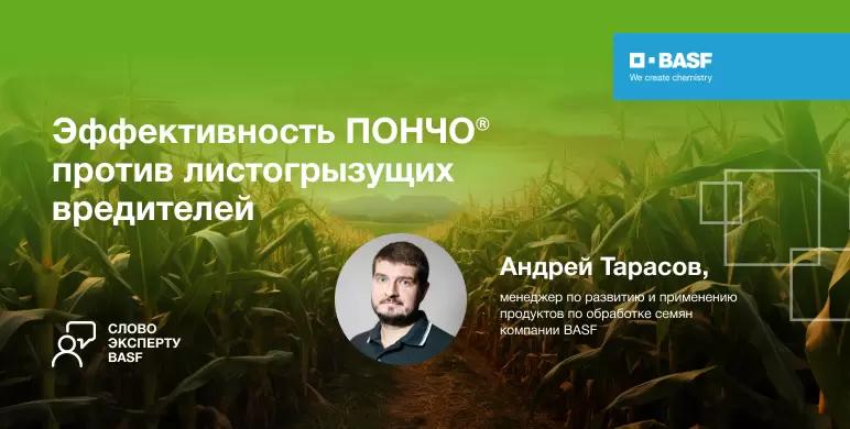 Эффективность ПОНЧО® против листогрызущих вредителей