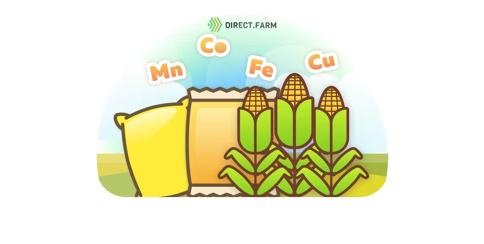 Какие микроудобрения применять на кукурузе?