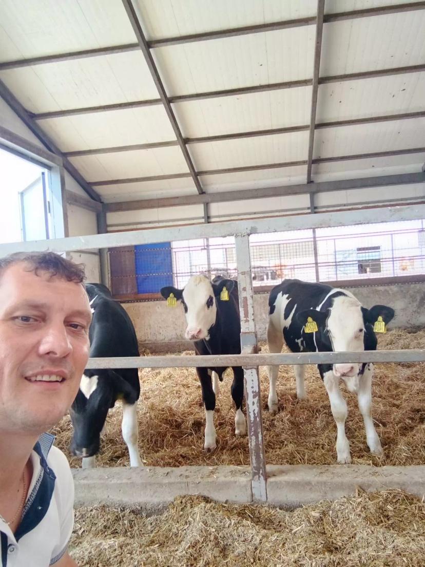 Работа в животноводческом хозяйстве Орловской области. Внедрение кормовых