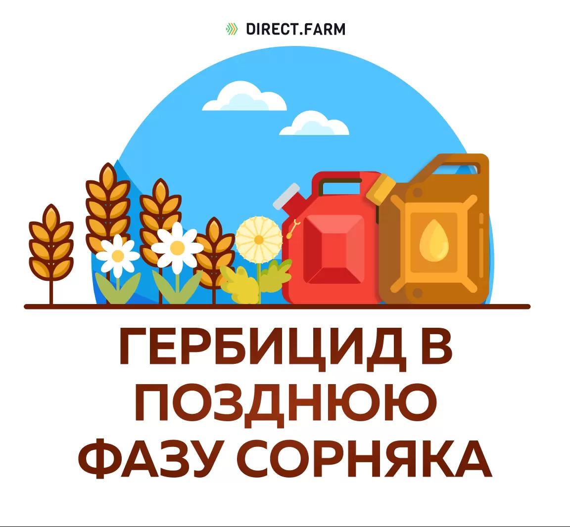 Применение гербицидов по переросшим сорнякам