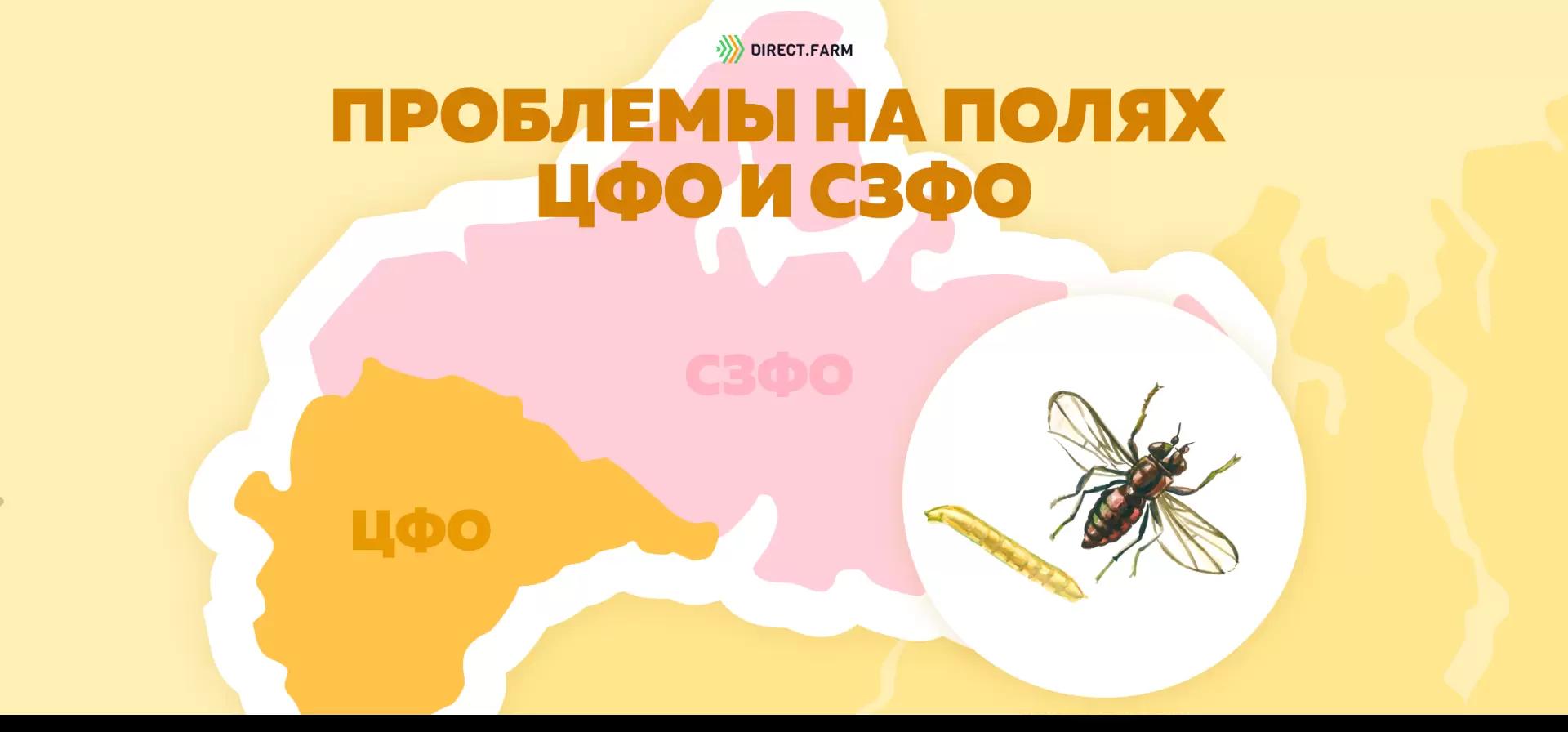 Угроза: Шведская муха