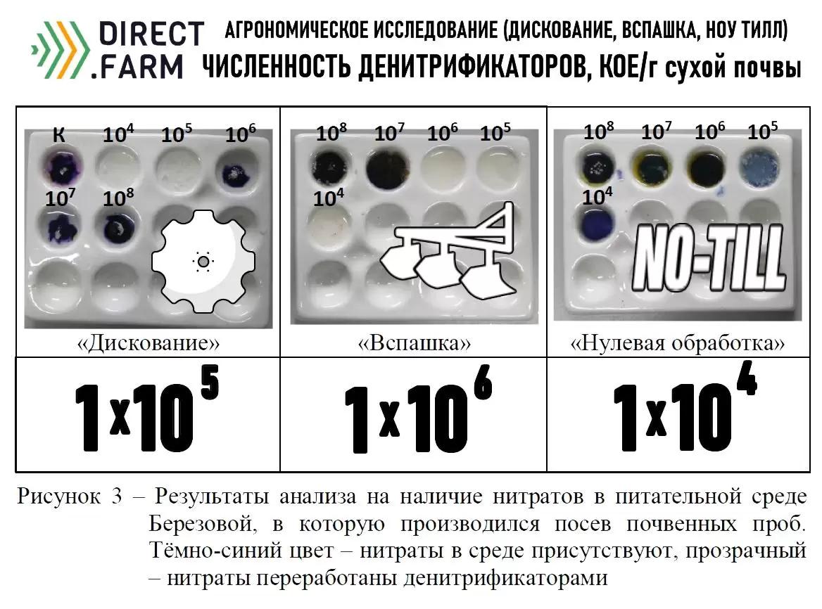 Денитрификация