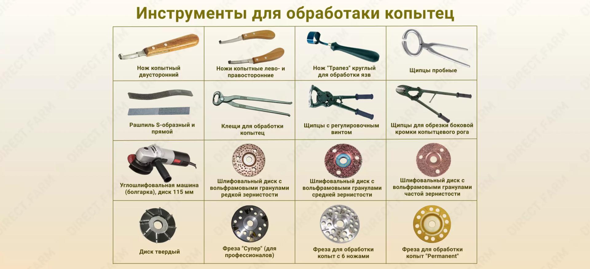 Список инструментов для обработки копытец коров