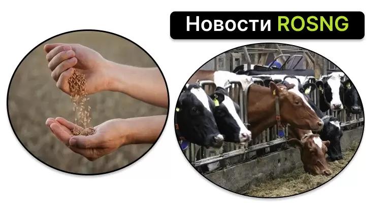 Обзор новостей за 23 августа