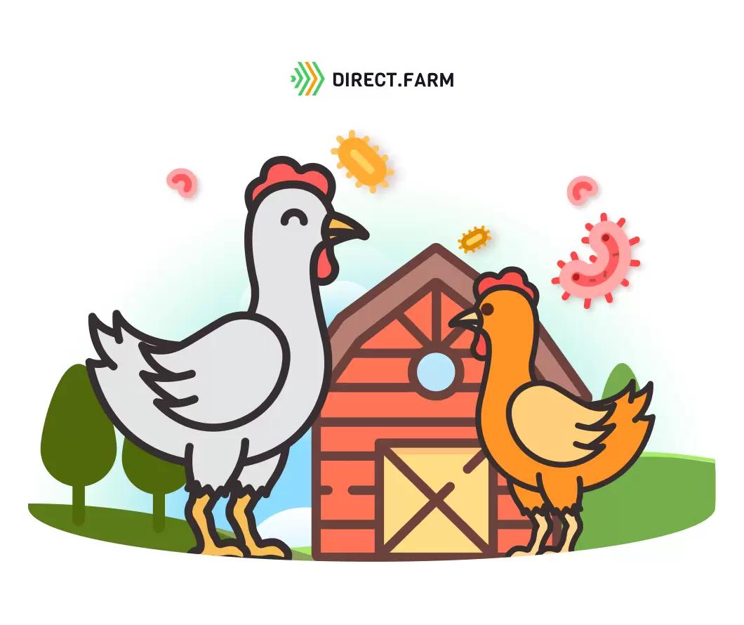 Снижение микробной обсемененности птичников