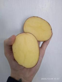 Картофель продовольственный от производителя, опт от 8 тонн