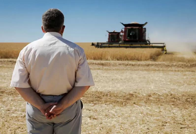 Злочевский: аграриям «просто не на что» расширять площади под озимыми