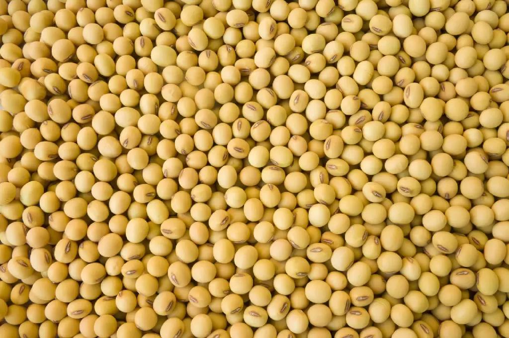 Россия вводит квоту на ввоз семян (33.1тт)