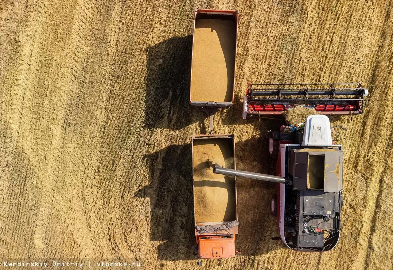 Минсельхоз: за пять лет урожайность зерновых в России выросла почти на треть