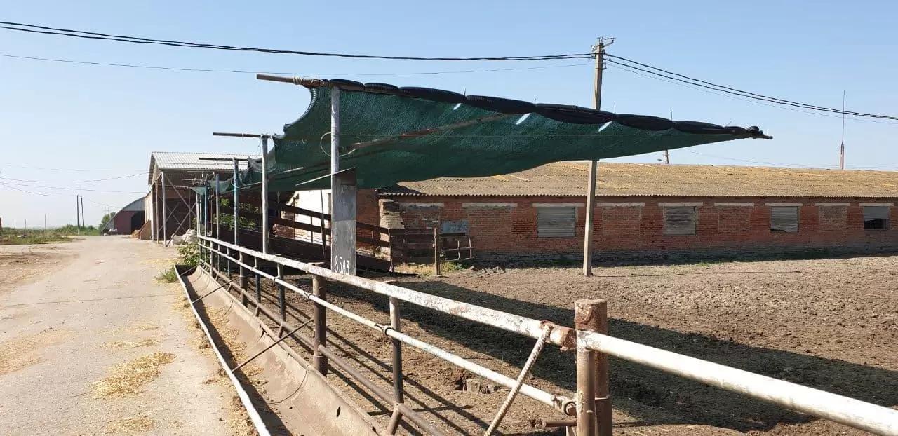 Теневой навес своими руками