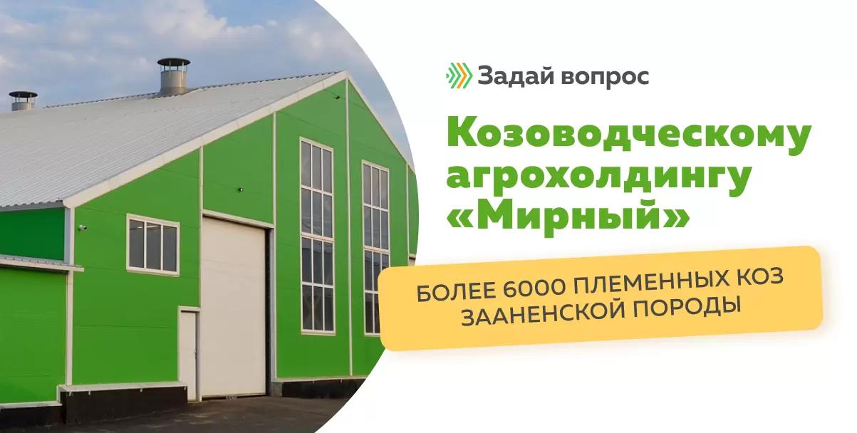 Задавайте вопросы козоводческому агрохолдингу «Мирный»