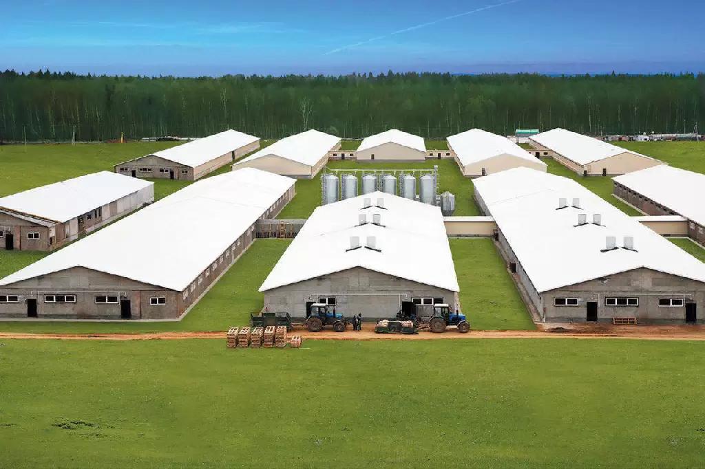 Ферма в аренду?!