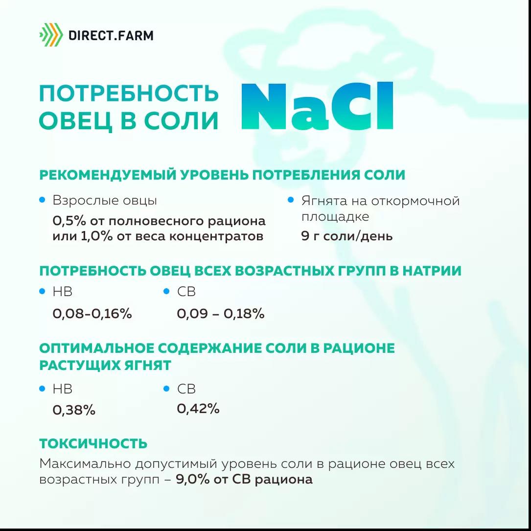Потребность овец в соли