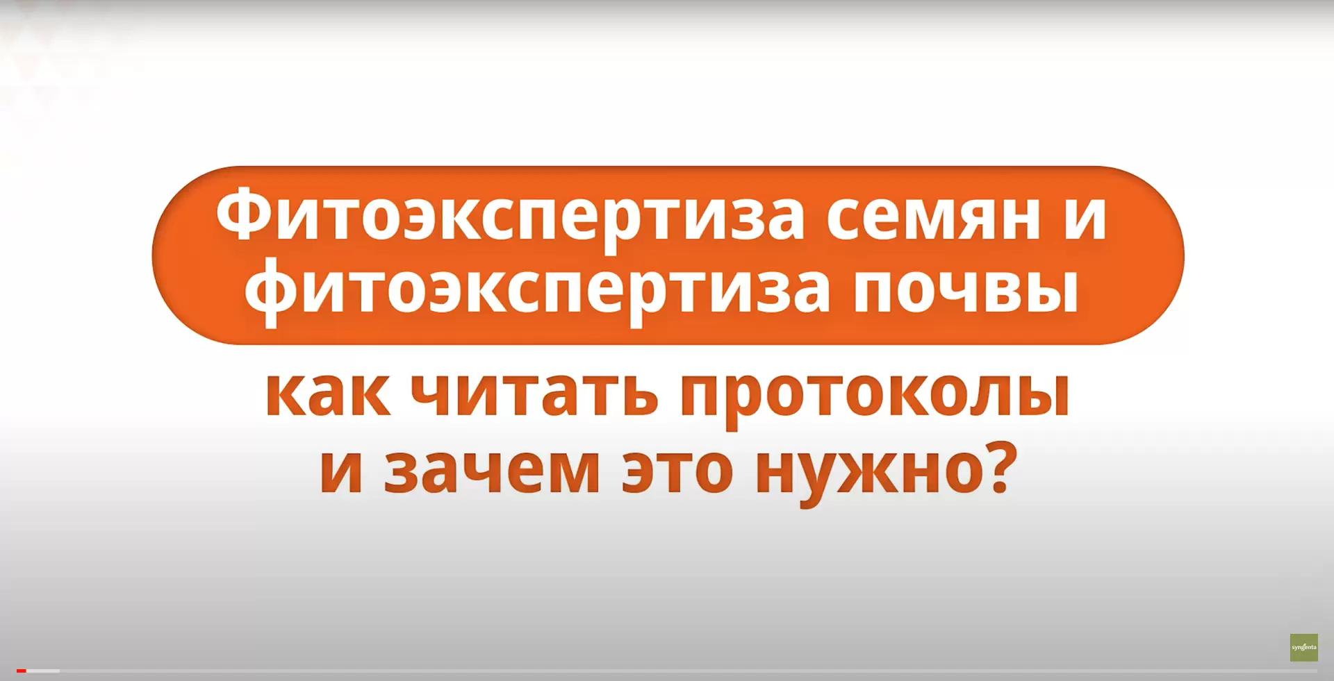 Фитоэкспертиза семян и фитоэкспертиза почвы