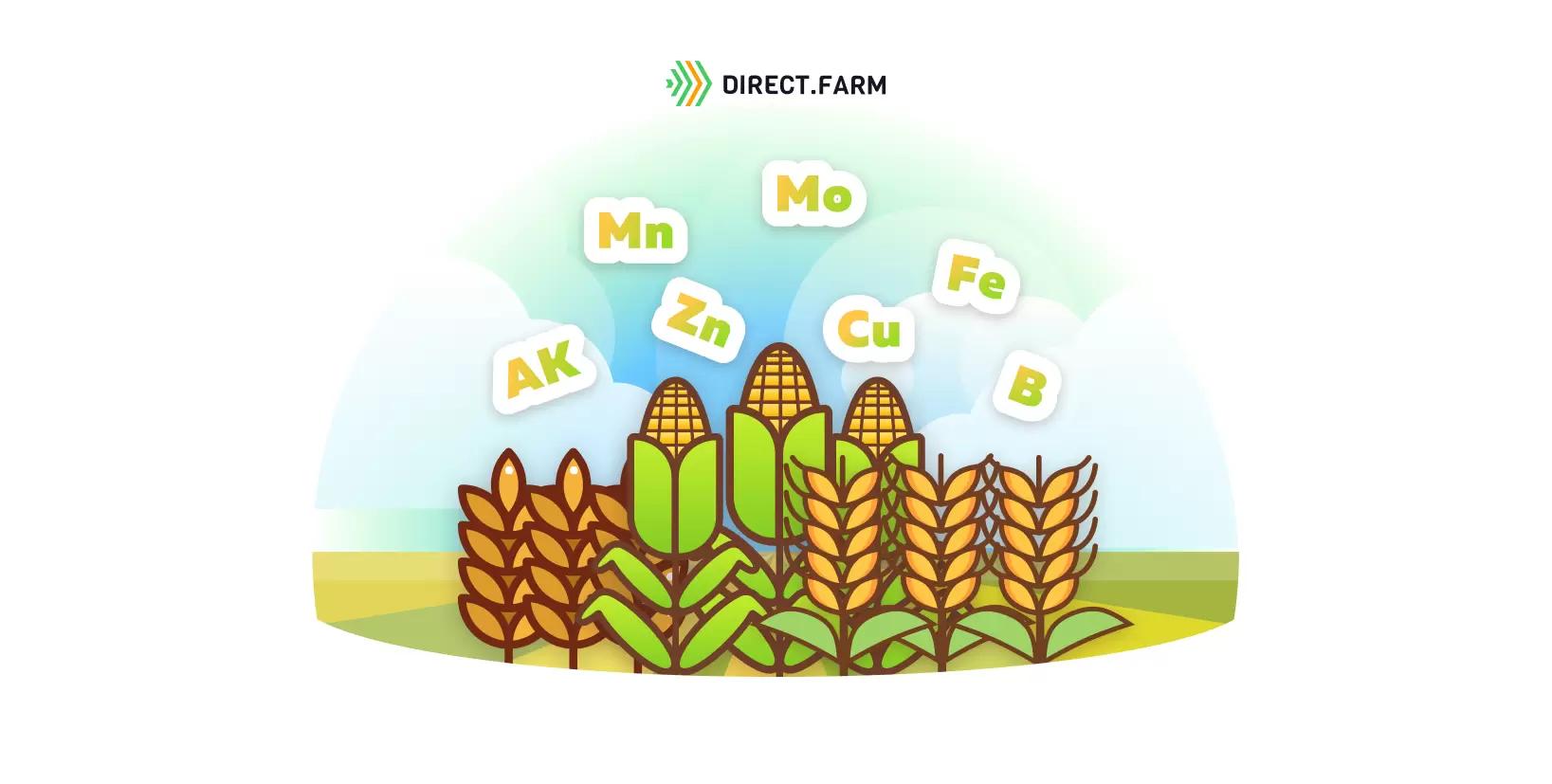Схемы внесения гуматов, микроудобрений и аминокислот