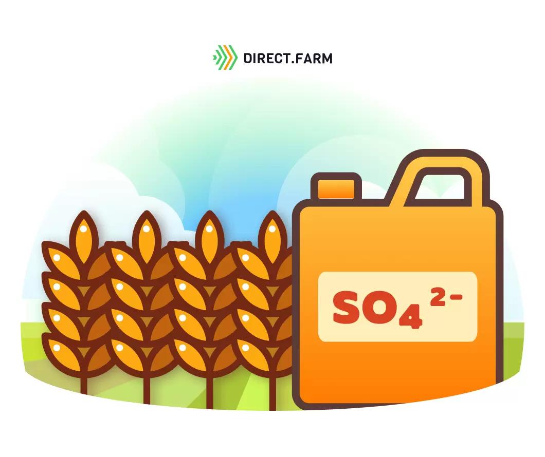 Подкормка серой: сульфат или тиосульфат?